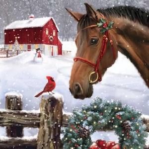 Meet your Posher, Vicki